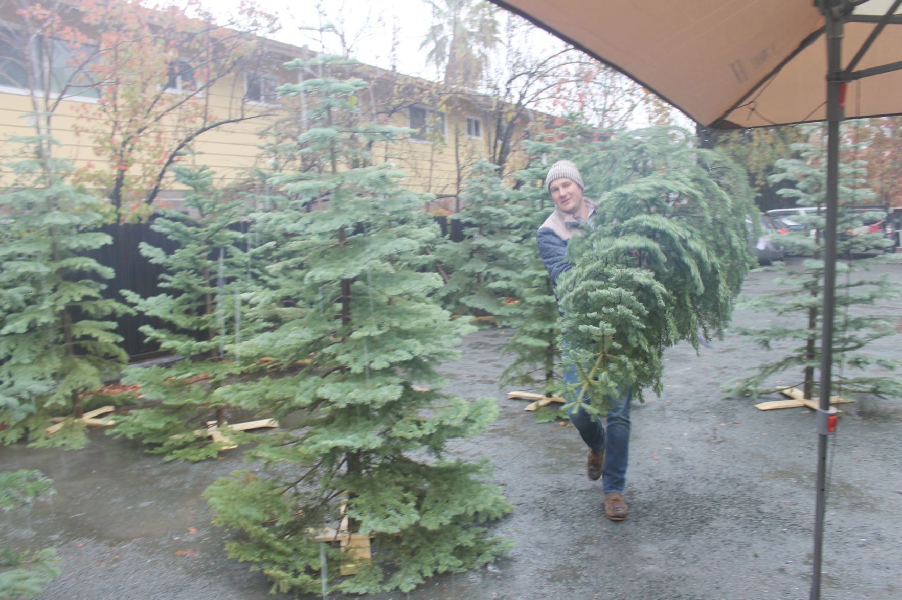 St. Helena Winter Market